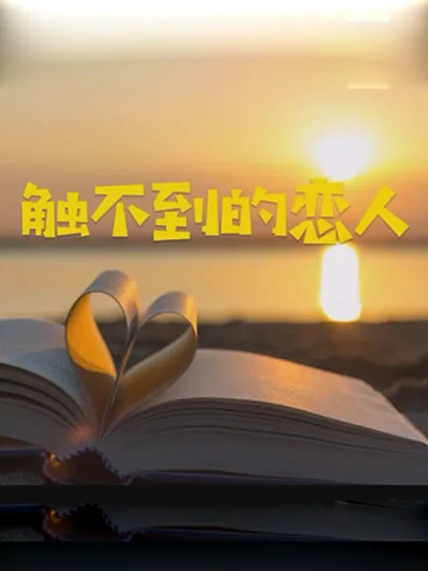 触不到的恋人